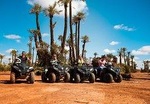  Half Day Camel Ride and Quad Biking with fresh mint Tea