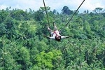 Full Day Bali Swing with Ubud and Waterfall Tour