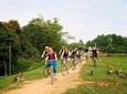 Tour Hoa Lu and Tam Coc with cycling