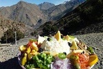 Atlas Mountains & Camel Ride Day Trip
