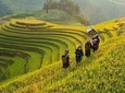 Trekking In Mu Cang Chai Tour 4 Days