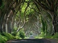 Private Game of Thrones including Giant's Causeway Causeway Coast Rope Bridge