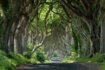 Private Game of Thrones including Giant's Causeway Causeway Coast Rope Bridge