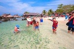 Phi Phi & Khai Island Full Day Tour from Phuket by Speedboat with Lunch