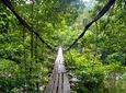 Trekking tour in Georgia