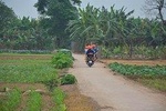 Sapa Motorbike Tours Half Day