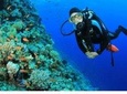 Red Sea Boat Trip to Tiran Island & Snorkeling from Sharm el sheikh 