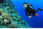 Red Sea Boat Trip to Tiran Island & Snorkeling from Sharm el sheikh 