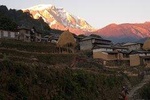 10 Days Annapurna Sikles Village Homestay Hike