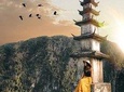 Ninh Binh: Hoa Lu- Tam Coc- Mua Cave 1 Day