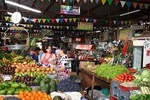 Tropical Fruit Tour - Live A Unique Gastronomic Experience