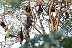 Fullday private tourTwo Surprise Discovery Tours in ONE DAY from Bangkok 