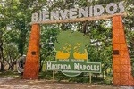 Napoles Full Package & Fullday Tour