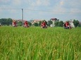 Hanoi Backstreet Tours Countryside On Vintage Vespa Half Day