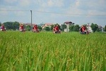 Hanoi Backstreet Tours Countryside On Vintage Vespa Half Day