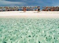  Khai Island Half Day Tour by Speedboat from Phuket
