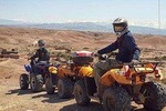 Sunset Quad Biking in the Palm Grove of Marrakech 