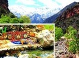 EveryDay Trip & Rental Car Services