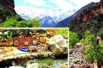 EveryDay Trip & Rental Car Services