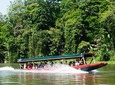 Tortuguero National Park Eco Adventure Walking & Canoe Tour from San Jose
