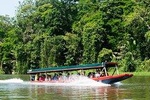 Tortuguero National Park Eco Adventure Walking & Canoe Tour from San Jose