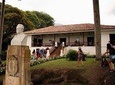 Sugar Cane Museum - Explore The History Of Sugar Cane And The Poetic Ranches
