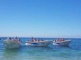 Benagil & Marinha Boat Tour