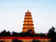 Xi'an Big Wild Goose Pagoda: 2-hour Small Group Walking Tour