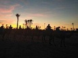 Small-Group tour Sunset Camel Ride in the palm Grove of Marrakech City