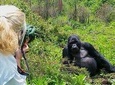1-day Rwanda Gorilla Tour