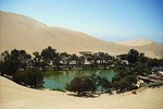  From Lima: Ballestas, Winery & Huacachina Oasis for Small Groups