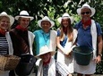 Coffee Tour in Medellin