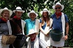 Coffee Tour in Medellin