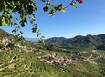 A sparkling day in the Prosecco Hills