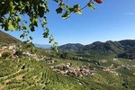 A sparkling day in the Prosecco Hills