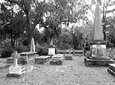 Fraidy Cat: The Family Fun Ghost Tour of Savannah