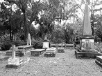 Fraidy Cat: The Family Fun Ghost Tour of Savannah