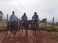 Horseback riding & Guatapé tour, all in one day
