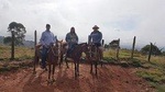 Horseback riding & Guatapé tour, all in one day