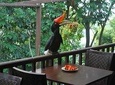Kuala Lumpur Bird Park Tour Including Transfer