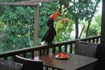 Kuala Lumpur Bird Park Tour Including Transfer