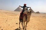 Private guided tour to Giza pyramids, including Camel ride, and lunch. 