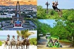 5 tours in 1 - Horseback Riding / City Tour / Cacao Farm / Zipline / Dune Buggy