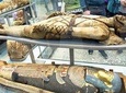 Private Tour of London British Museum for Kids & Families with Egyptian Mummies