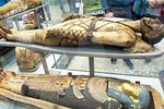 Private Tour of London British Museum for Kids & Families with Egyptian Mummies