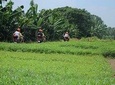Hanoi Backstreets Sunset Motorbike Tours