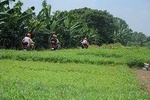 Hanoi Backstreets Sunset Motorbike Tours