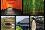 5 Top Highlights of Kyoto with Kyoto Bike Tour