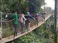 Two-day Nyungwe Canopy and Kivu Lake Adventure