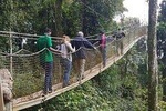 Two-day Nyungwe Canopy and Kivu Lake Adventure